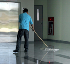 Office Cleaning